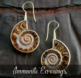 ammonite-earrings